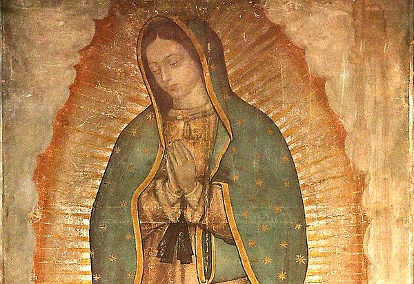 20231205T0800 AUTHENTIC LIKE MARY 1769559_t600
