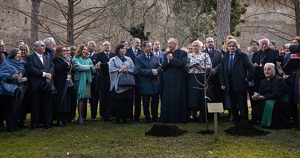 20240308T1142 ULMA TREE VATICAN 1773584_t600