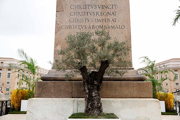 20240806T0400 STOCK CNS VATICAN 1779660_t600
