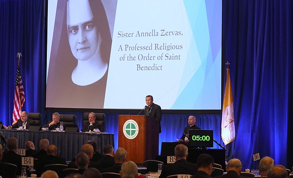 20241112T1555 USCCB FALL24 CAUSE CONSULTATION 1785024_t600
