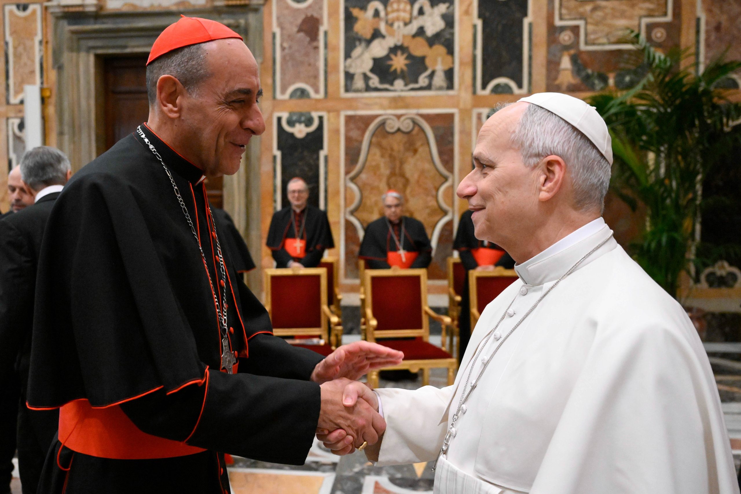 20260129T1030 POPE DOCTRINE PLENARY 1812213