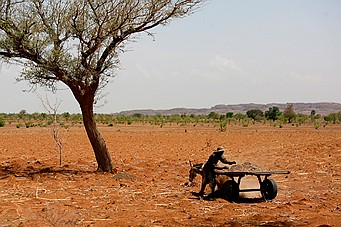 26896_t600