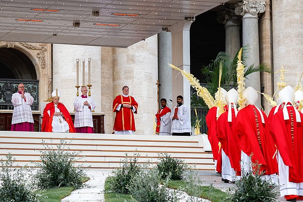 Pope Palm_Sun_t600