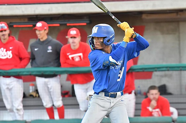SPORTS NDHS_Dylan_Palmer_at_bat_t600