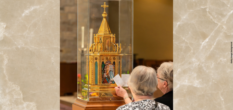 Relics of St. Bernadette coming to Co-Cathedral Oct. 10-11