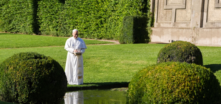 Conversion of heart needed to end wars, heal Earth, Pope says