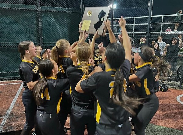 sjv_softball_t600