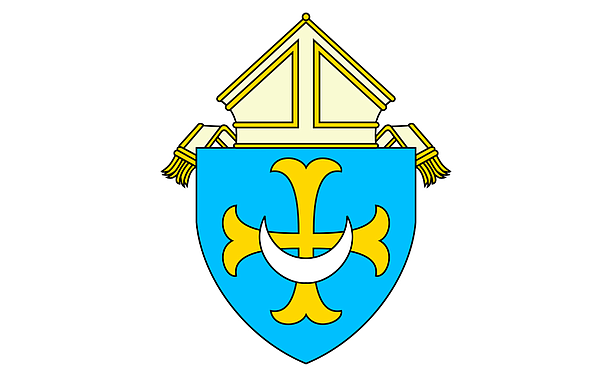 web_size_23_t600